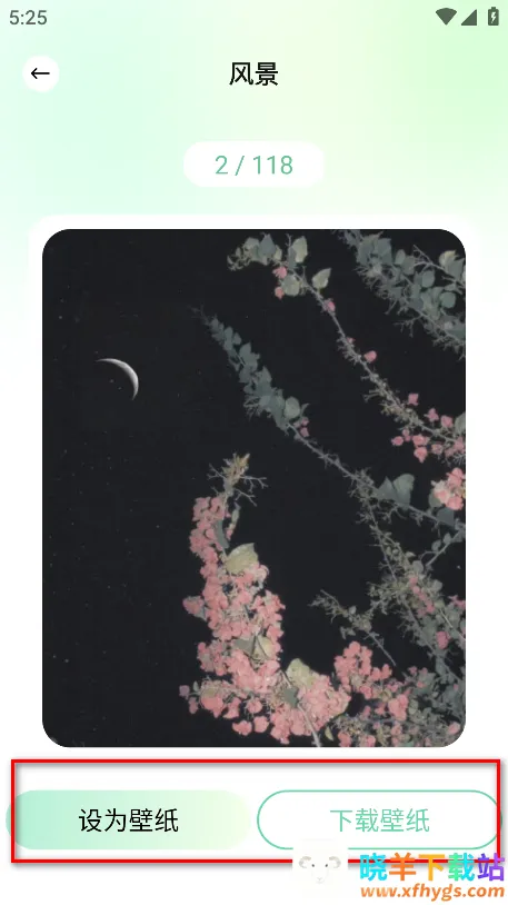 荷花壁纸2025官方最新版本 荷花壁纸2025官方最新版本