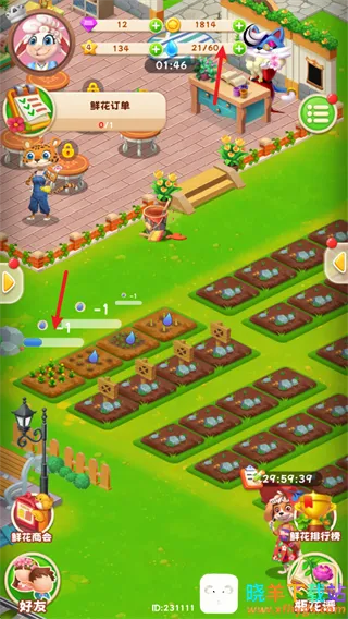 动物花店(花店经营游戏) 动物花店(花店经营游戏)