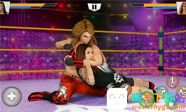 坏女孩摔跤全人物(摔跤格斗手游) 坏女孩摔跤全人物(摔跤格斗手游)