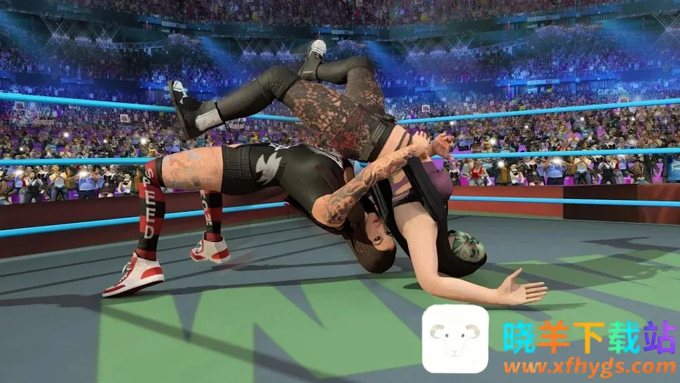 坏女孩摔跤全人物(摔跤格斗手游) 坏女孩摔跤全人物(摔跤格斗手游)