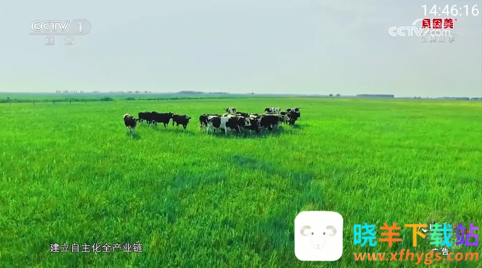 你的电视2025官方正版 你的电视2025官方正版