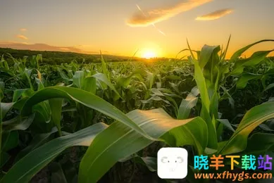 华测农服(农业管理app) 华测农服(农业管理app)