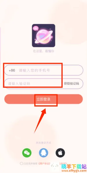 次元星2025官方正版 次元星2025官方正版