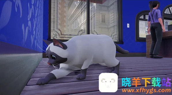 ��꾭���۹�(��꾭Ӫ��Ϸ)