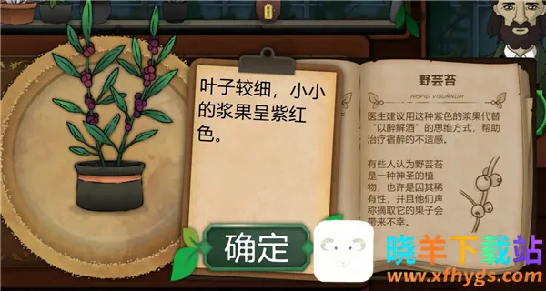 ����԰��2025�ٷ����°汾