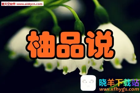 ��Ʒ˵2025���°汾