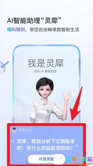 ��������2025�ٷ�����