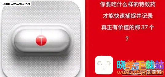 �����(��м�¼����)