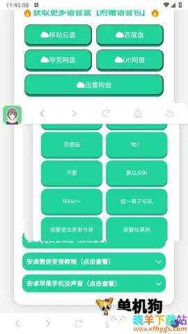 ���ɵ�������2025�ٷ����°汾