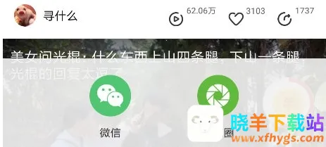 ���׻���Ƶ��׿���ֻ���