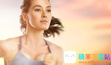 �ɹ�����(������������)