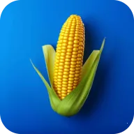 ũ��֮��(ũ����Ӫ��Ϸ)