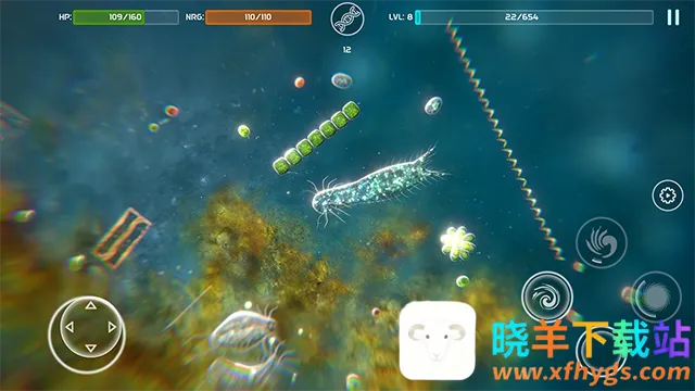 ����ģ���������ֻ���