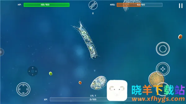 ����ģ���������ֻ���