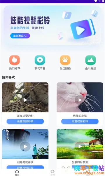 ��������2026���°汾