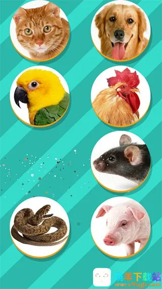 PetTranslator�������Է�����2026�ٷ����°汾