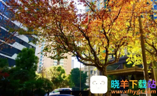 СС��¼2026�ٷ����°汾