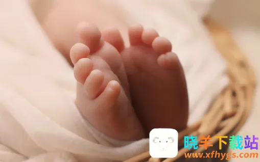 ʫ��������׿���ֻ���