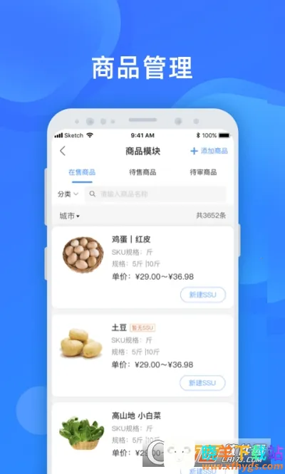 ��������2026�ٷ�����