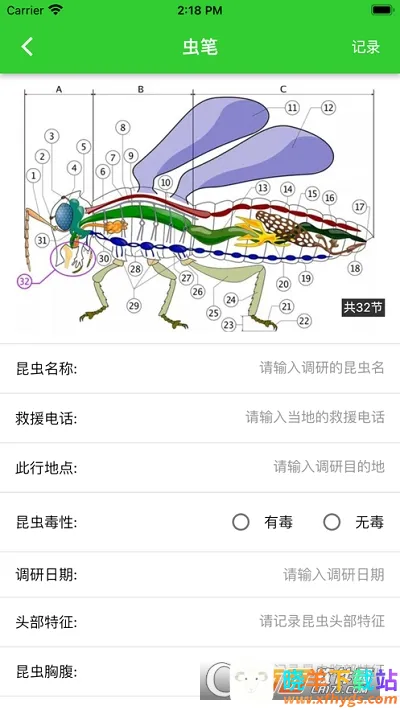 ���2026�ٷ����°汾