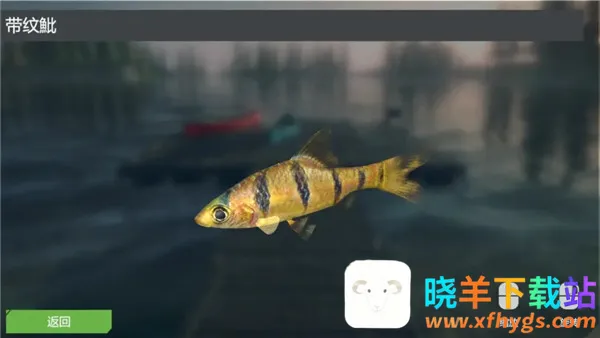 �ռ�����ģ���������ֻ���