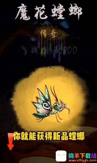 ��Ʒ���2026�ٷ����°汾