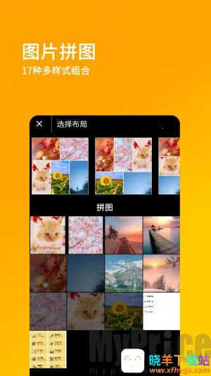 ˢ��Ȧ����