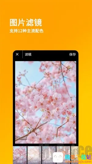 ˢ��Ȧ����