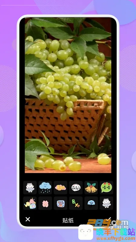 �羰���2026�ٷ����°汾