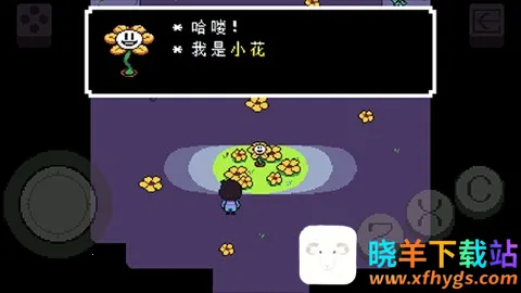 ������˵���İ�