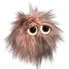 ëƤ����2026���°汾