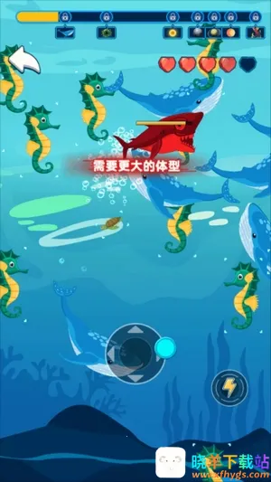 ��������2026�ٷ�����