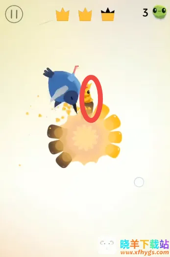 pigeon���ĸ���