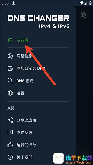 DNS Changer2026�ٷ�����