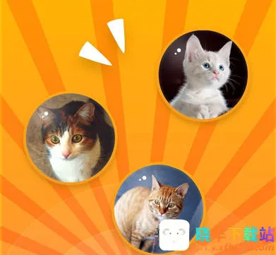 ���﷭����