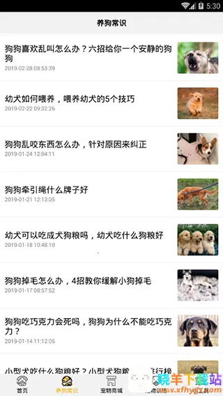 ���﷭����