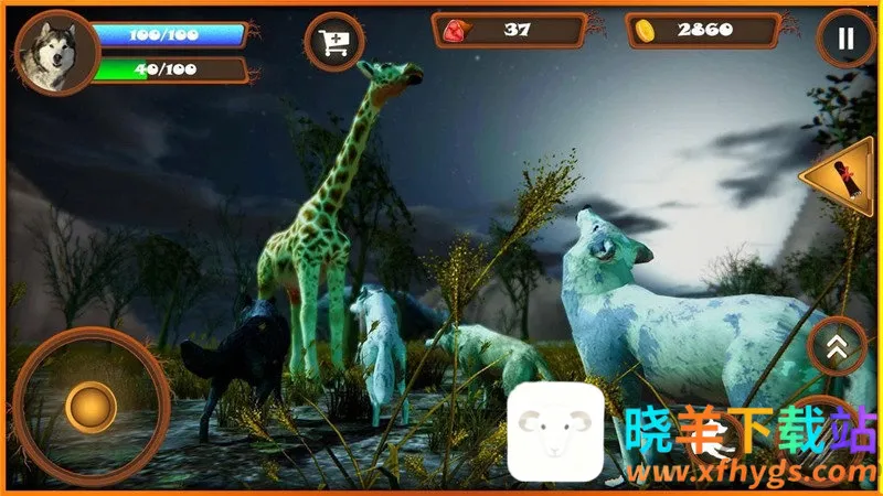 ����ģ����2026�ٷ����°汾