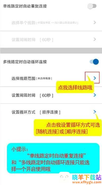 IP��2026�ٷ�����