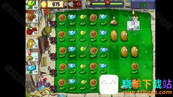 植物娘大战僵尸2026最新版本 植物娘大战僵尸2026最新版本