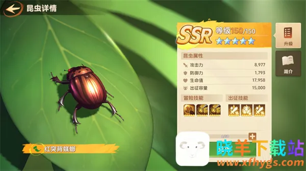 СС�Ҵ�����Ϸ