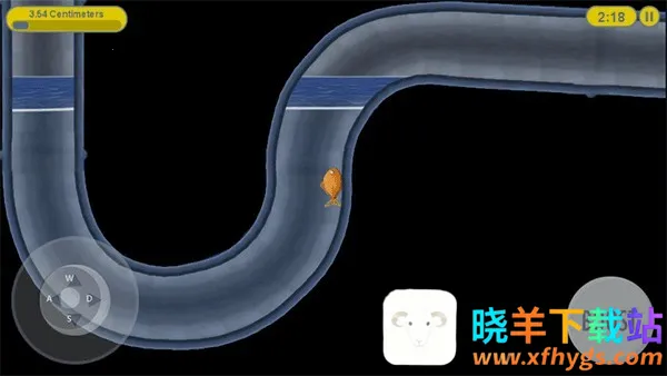 ��ζ����2����2026���°汾