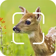 TrailCam Go