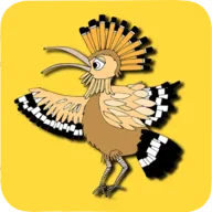 The Birds����Ϸ���ѽ�����ȸ�������ֻ���