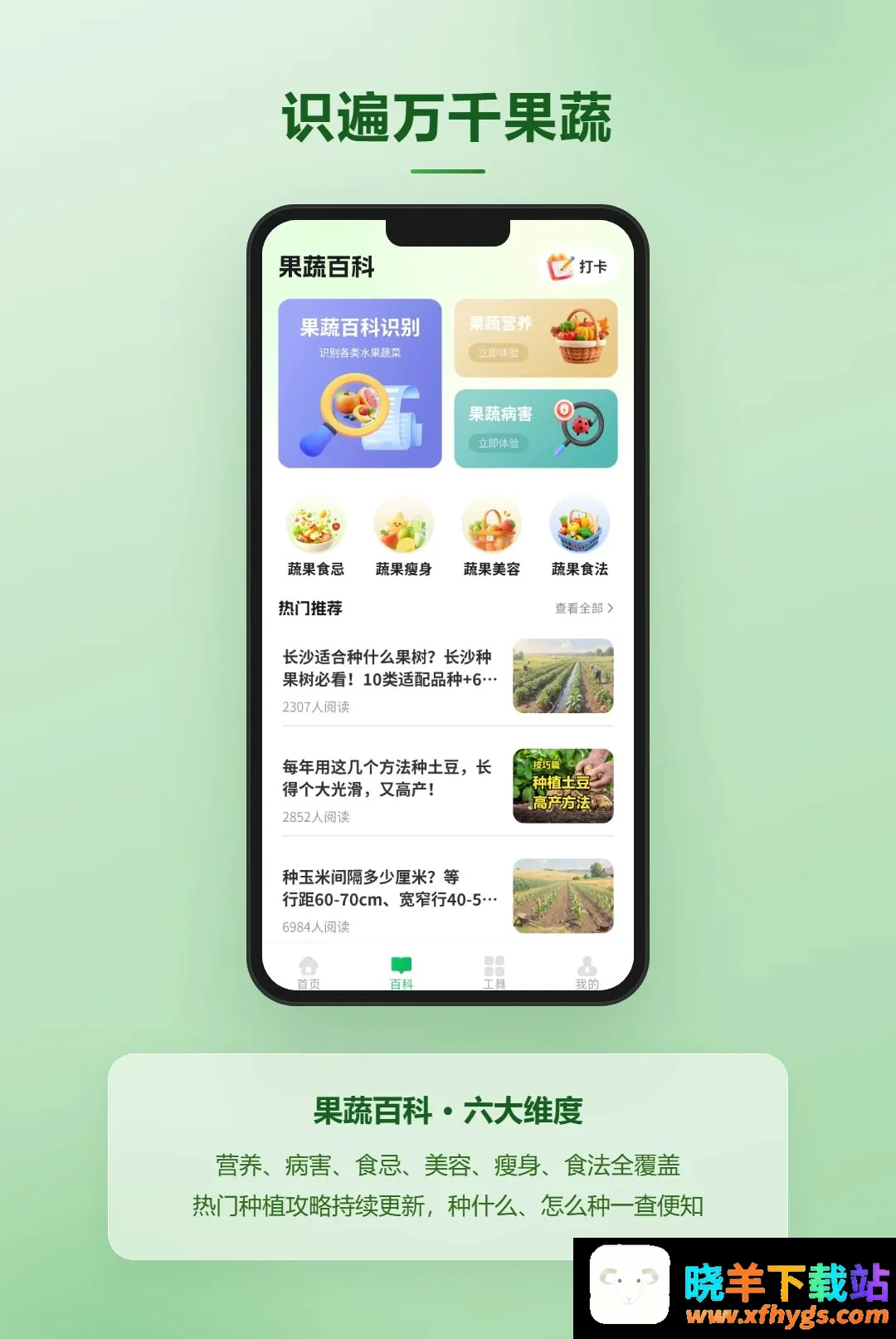 丰收乐满园 丰收乐满园