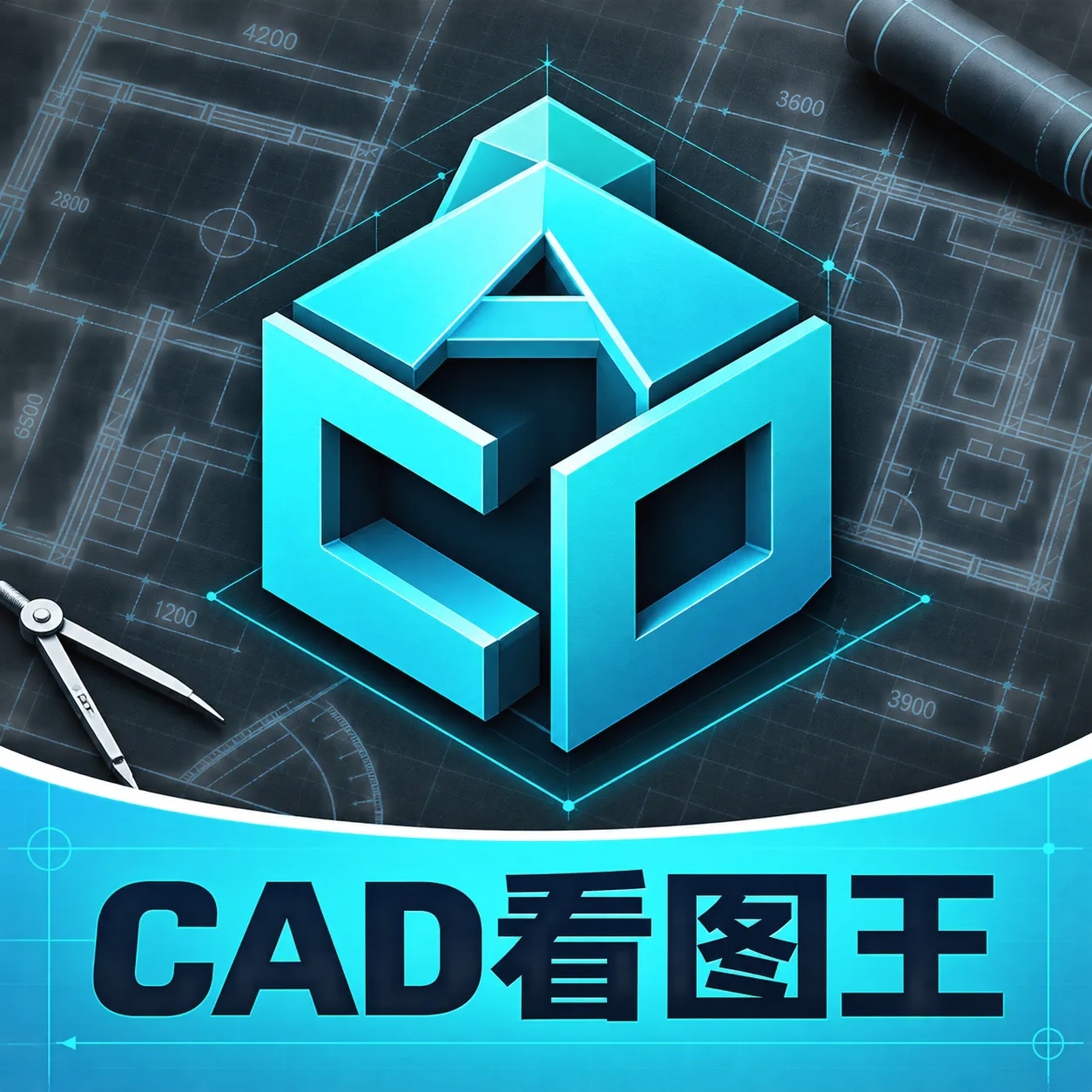 CADͼֽ��ͼ��