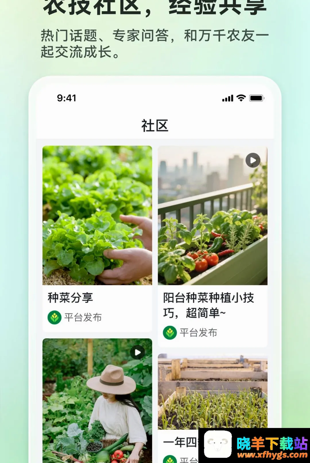 清青果园 清青果园