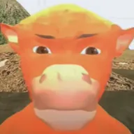 ţ��������ư�