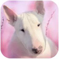 ��ţȮ��ģ����Ϸ