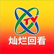 ���Ӳ��ûؿ����Ӻ���TV��