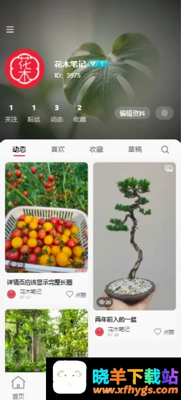 花木笔记 花木笔记